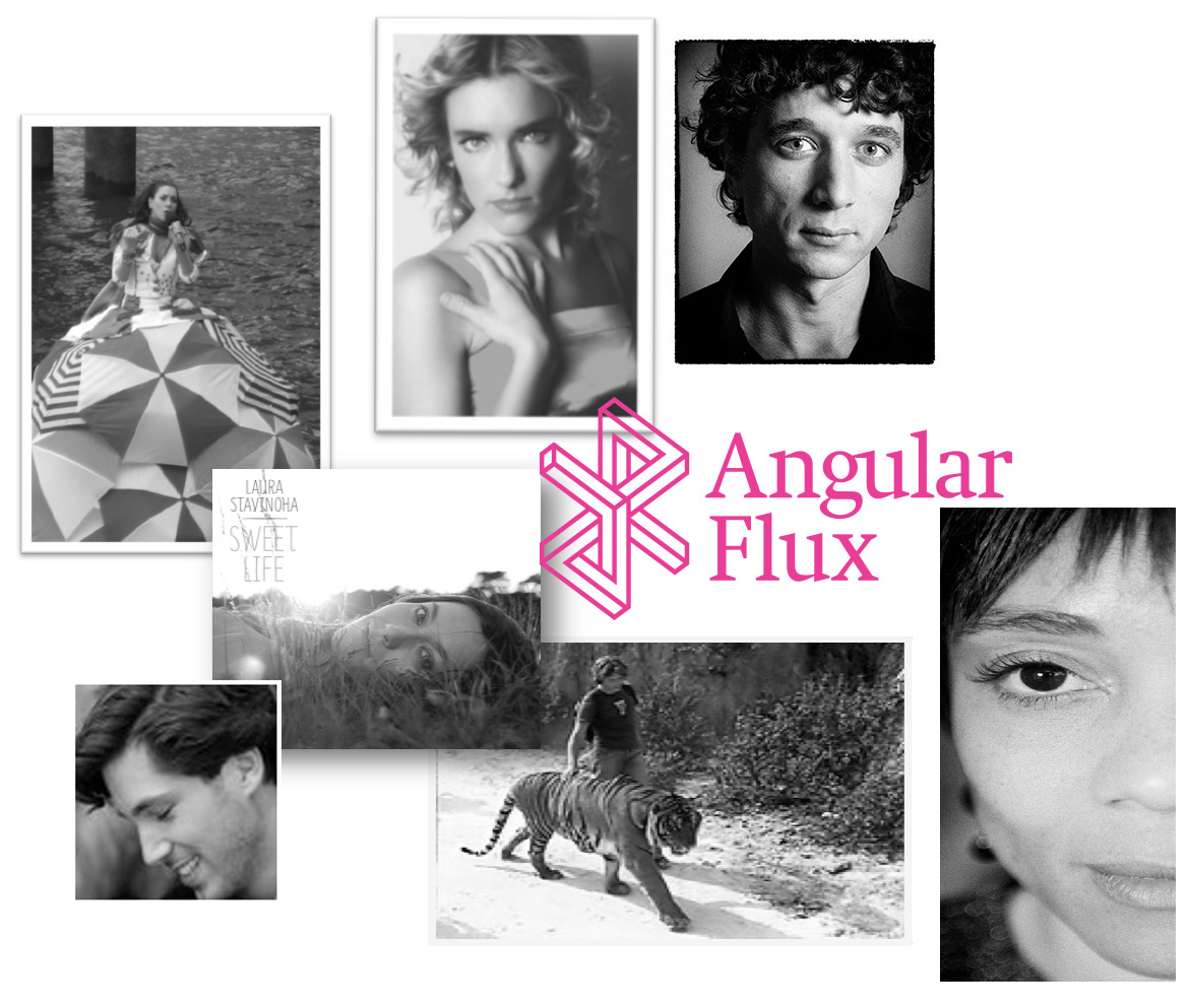 Angular Flux Participants